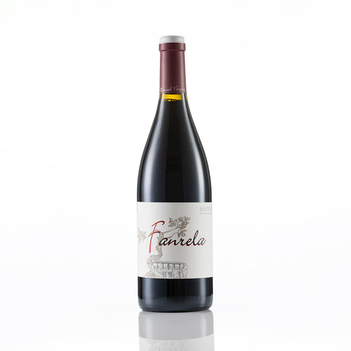FANRELA TINTO